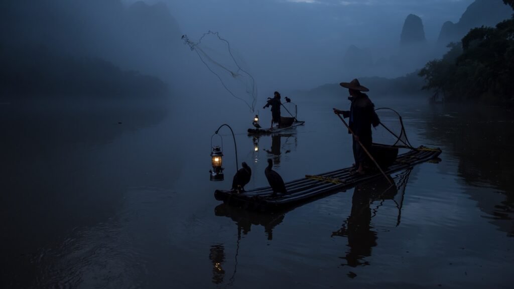 mercierzeng cormorant